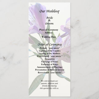 Purple Peruvian Lily Programm