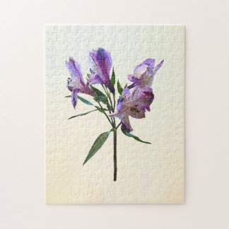 Purple Peruvian Lily Puzzle