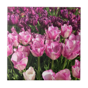 Purple & Pink Tulip Garden Bed, Oregon Fliese