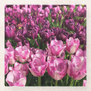 Purple & Pink Tulip Garden Bed, Oregon Glasuntersetzer