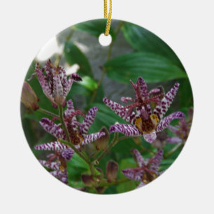 Purple pink white striped orchid like flower lilly keramik ornament