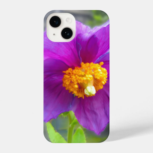 Purple poppy phone cover iPhone hülle (Rückseite)