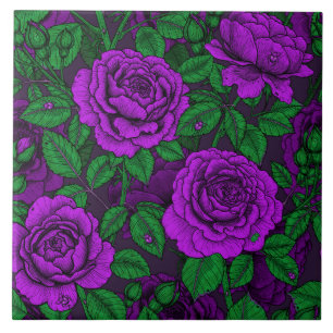 Purple Roses Fliese