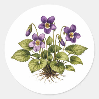 Purple Violet Vintage Style Botanical  Runder Aufkleber