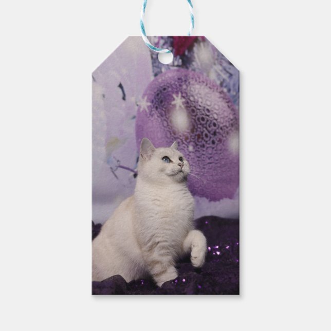 Purple XMAS Cat Geschenkanhänger (Vorderseite)