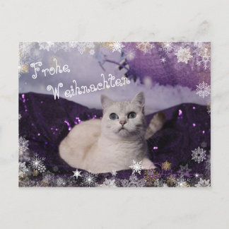 Purple XMAS Cats Feiertagspostkarte