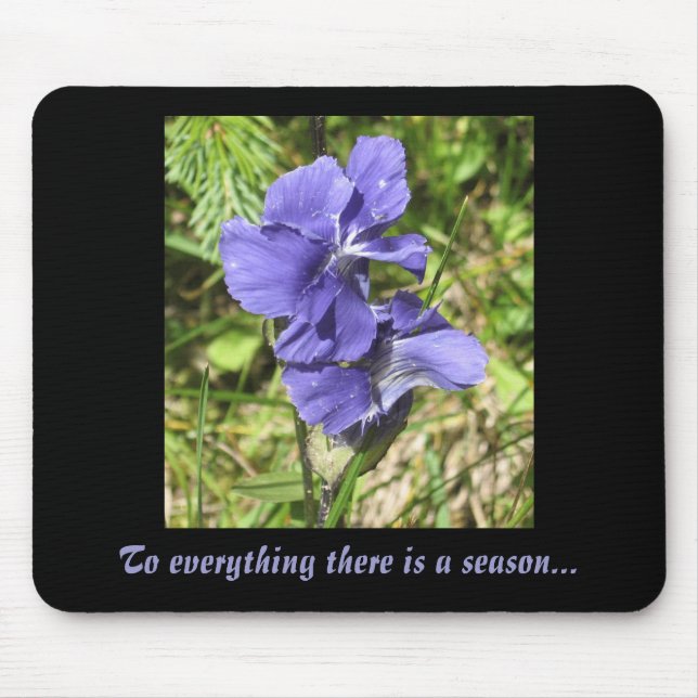 PurpleFlower, zu alles gibt es eine Jahreszeit… Mousepad (Vorne)