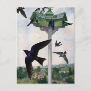 Purpur-Schwalben und ihr Vogelhaus Postkarte