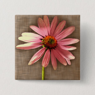 Purpur-Sonnenhut Echinacea purpurea Button