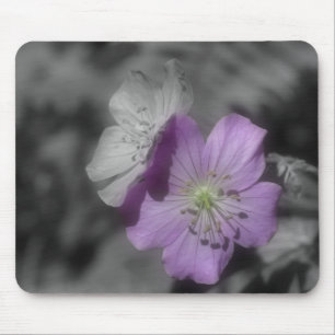 Purpurblumen in Schwarz-Weiß-Mousepad Mousepad