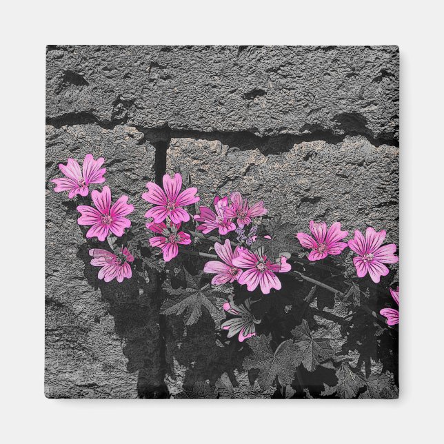 Purpurblumen Magnet (Vorne)