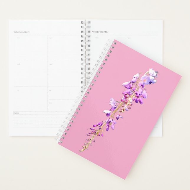 Purpurblumen Planer (Anzeige)