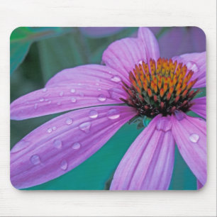 Purpurkegelblume mit Wassertropfen Mousepad
