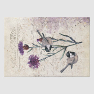 Purpurkornblumen-Meisen-Vogel-Französische-Schrift Seidenpapier