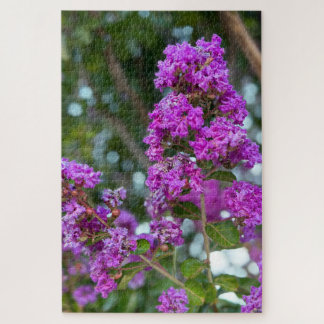 Purpurrote Crape Myrte, Livermore Puzzle