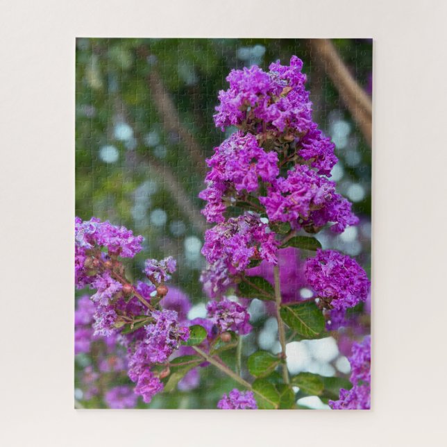 Purpurrote Crape Myrte, Livermore Puzzle (Vertikal)