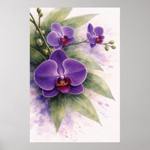 Purpurrote Orchideen-Botanik