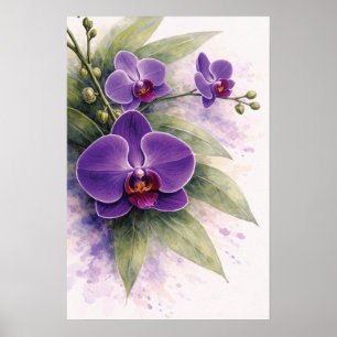Purpurrote Orchideen-Botanik  Poster