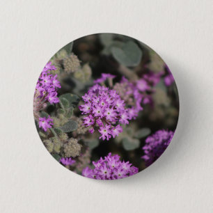 Purpurverbena Coachella Valley Wildlife Preserve  Button