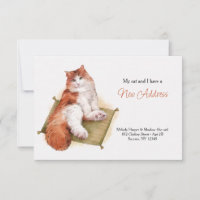 Purr Cat Moving Ankündigung