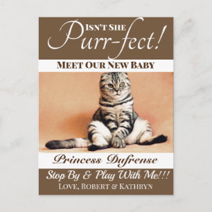 "Purr-fect" New Cat Announcement Brown Postkarte