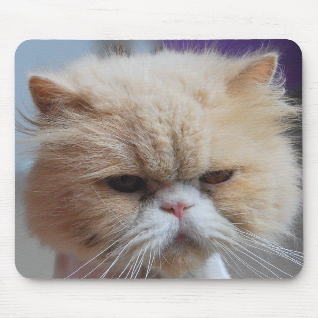 Purr-fect Persermousepad Mousepad (Vorne)