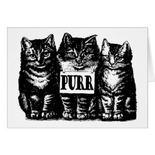 Purr Kittens