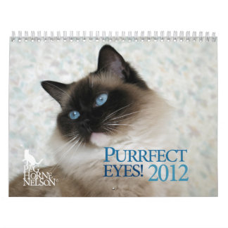 Purrfect Augen! Katzen-Kalender 2012 Kalender