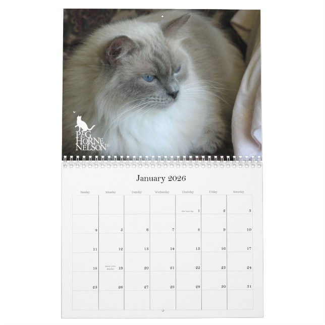 Purrfect Augen! Katzen-Kalender 2012 Kalender (Jan 2026)