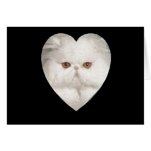 Purrfect Kitty (Vorderseite (Horizontal))