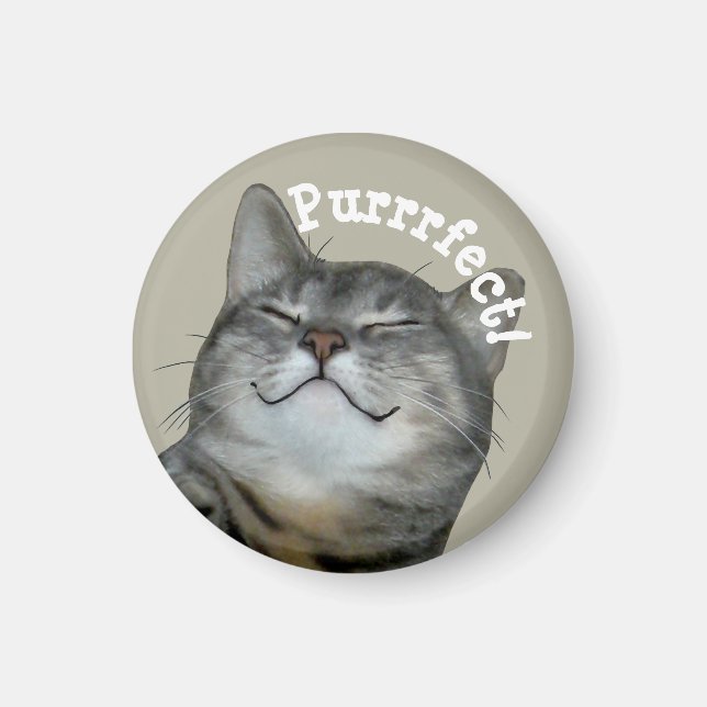 Purrfect Lächelnde Kätzin Magnet (Vorne)