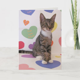 Purrfect Valentine Feiertagskarte