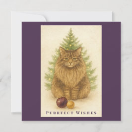 Purrfect Wishes – Cat Christmas  – Maine Coon Cat Feiertagskarte