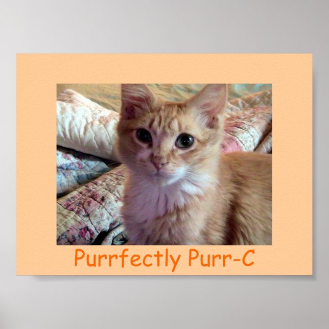 PURRFEKT-C-Poster Poster (Vorne)