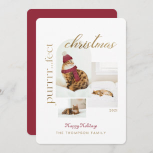 Purrr.fect Christmas Fun & Cosy Cat Drei Fotos Feiertagskarte