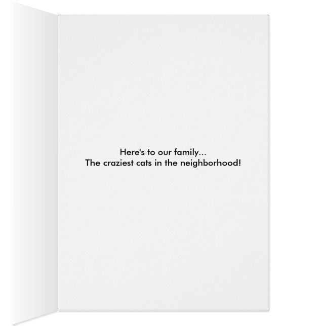 Purrrfect Familie (Innen (Rechts))