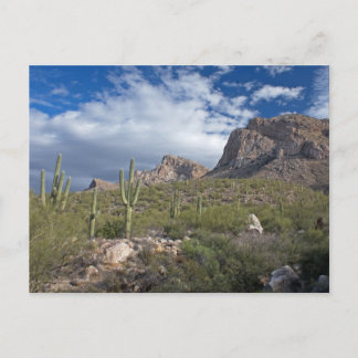 Pusch Ridge II Postkarte