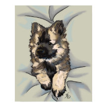 Push Herbst Regen Poster