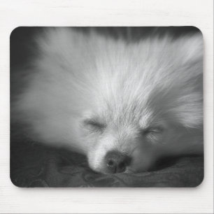 push off... i iz havin' a break mousemat mousepad