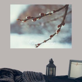 Pussy Weide Zweige mit Katkins im Späten Winter Poster