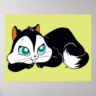 Pussyfoot Niedlich Kitty Poster