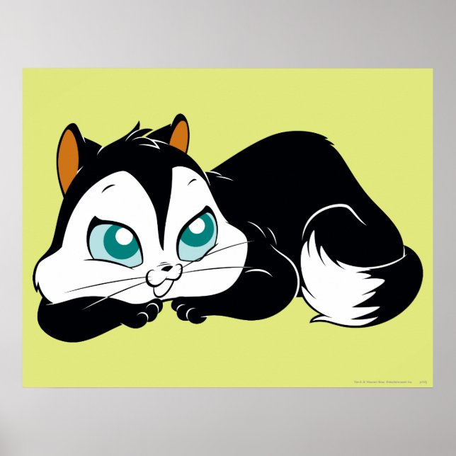 Pussyfoot Niedlich Kitty Poster (Vorne)