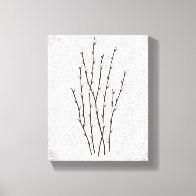 Pussywillows Canvas Print Leinwanddruck (Vorderseite)