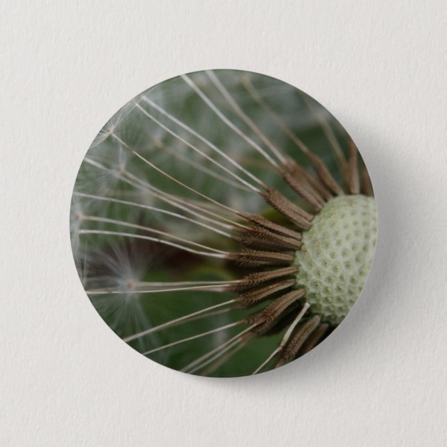 pusteblume button (Vorderseite)