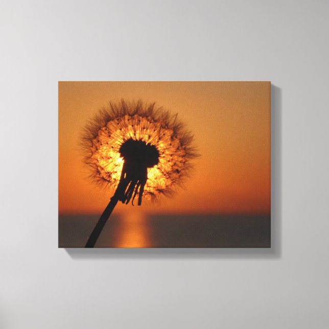 Pusteblume / Dandelion Leinwanddruck (Vorderseite)