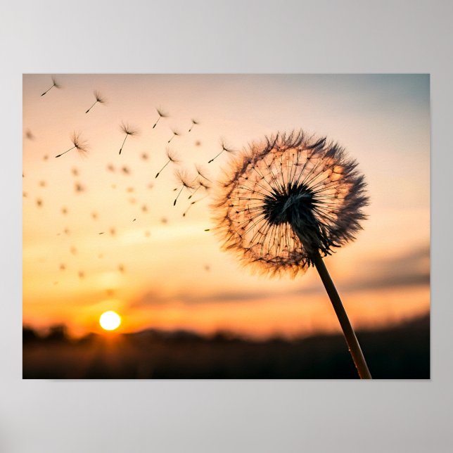 Pusteblume fliegt durch die Luft Poster (Vorne)