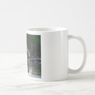 Putin reitet einen Bären! Tasse