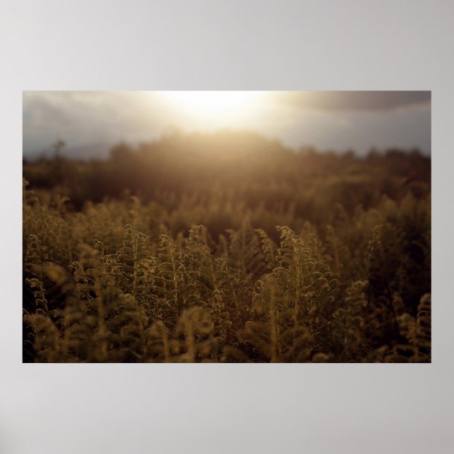 Putney Mountain Sunset Poster (Vorne)