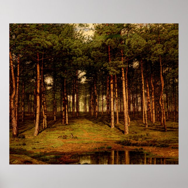 Puttenwald mit Kaninchen Jean Lamorinière Poster (Vorne)