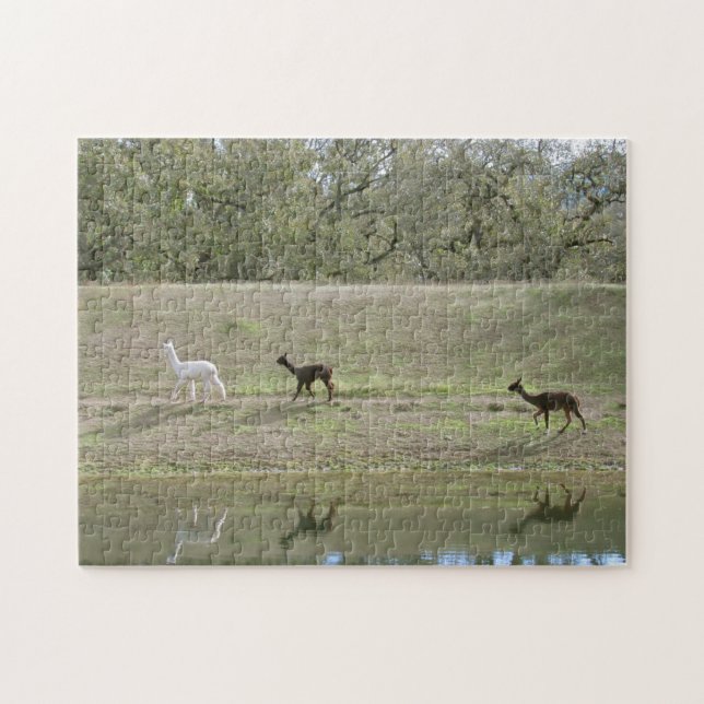 Puzzle - Alpaca Reflektionen (Horizontal)